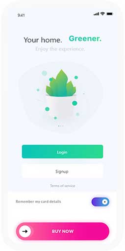 服务器攻击方式